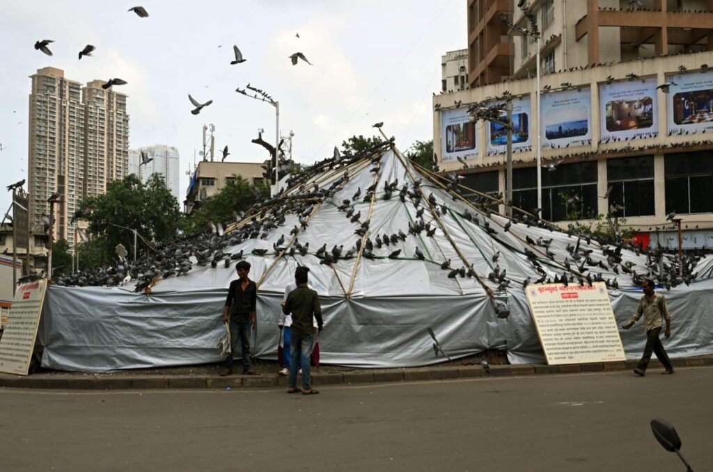 DADAR KABUTAR KHANA